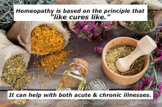 homeopathy homeopathy